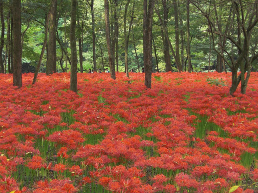 519267 (a): :1600x1200